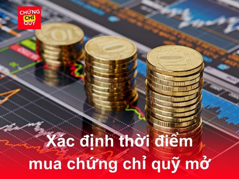 thoi diem nen mua ccq